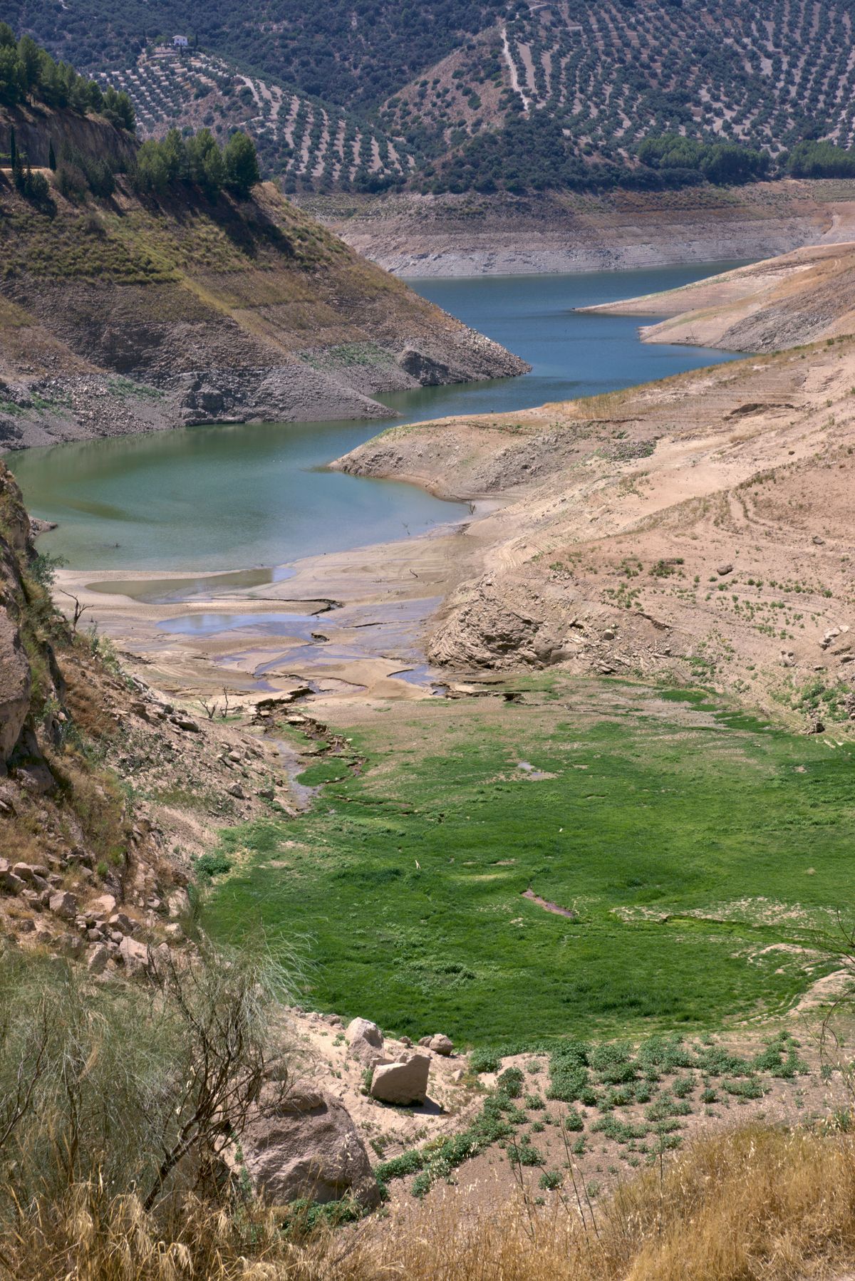 Low water levels at an Andalusian reservoir