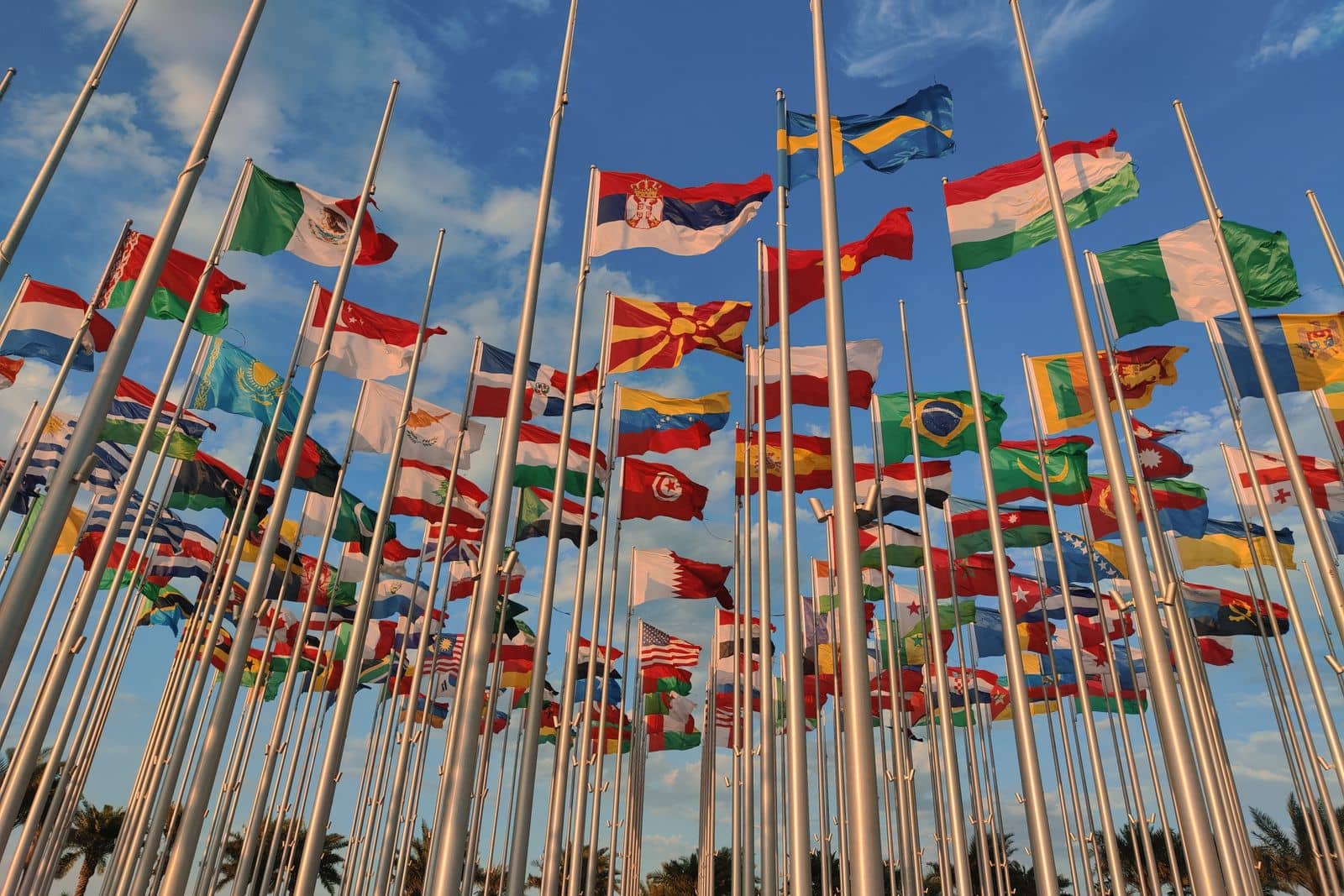 Flags of many countries flying on tall flagpoles