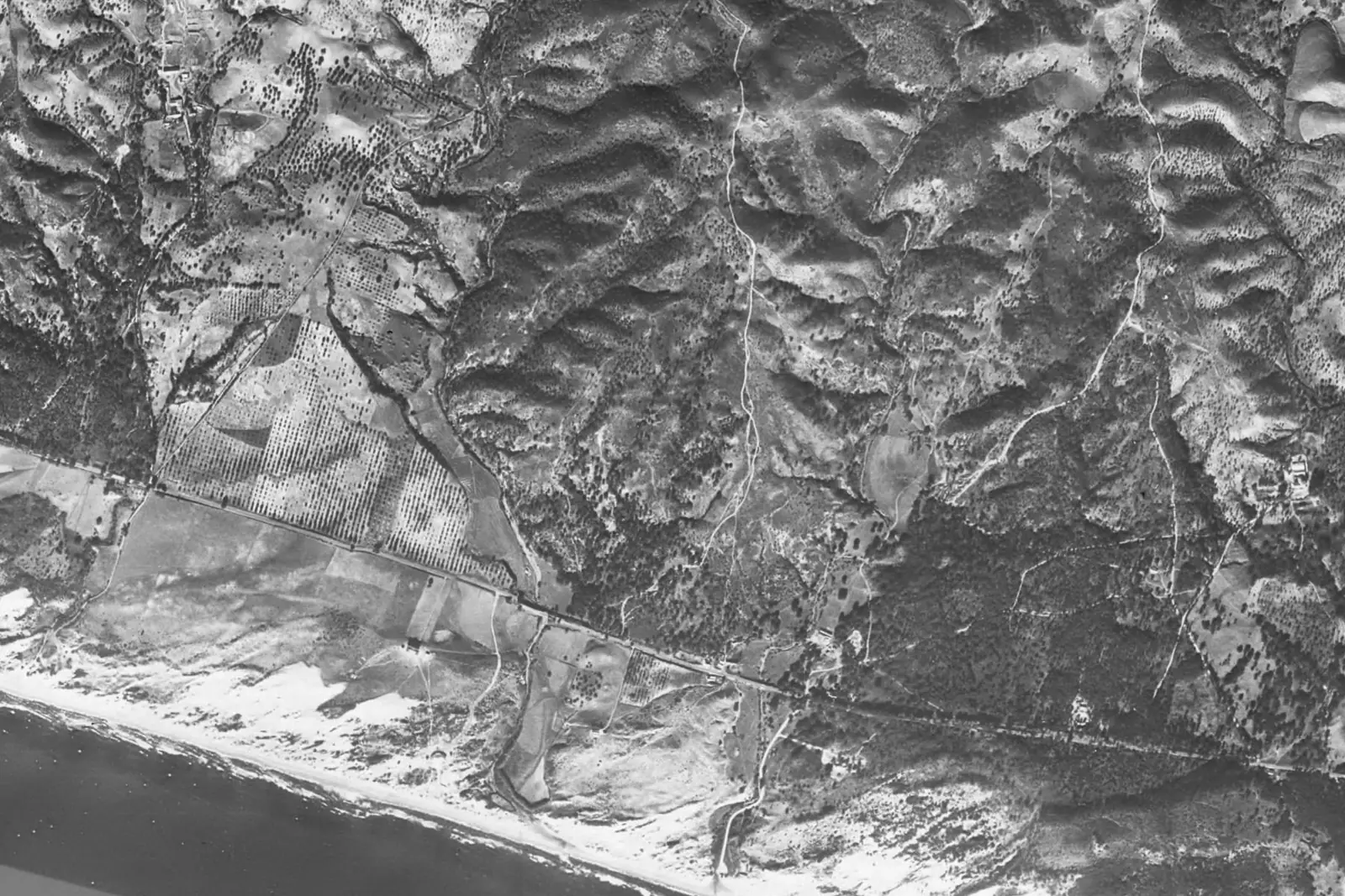 Elviria from the air in 1956
