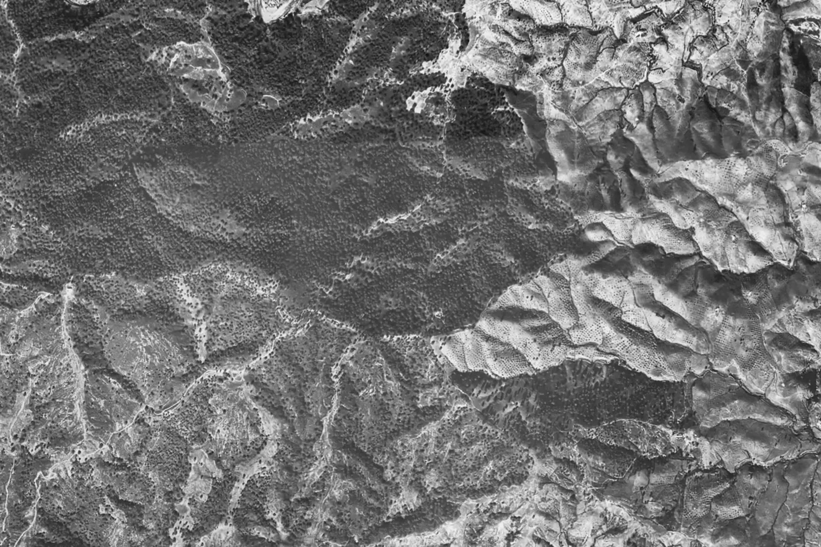 La Mairena from the air in 1956