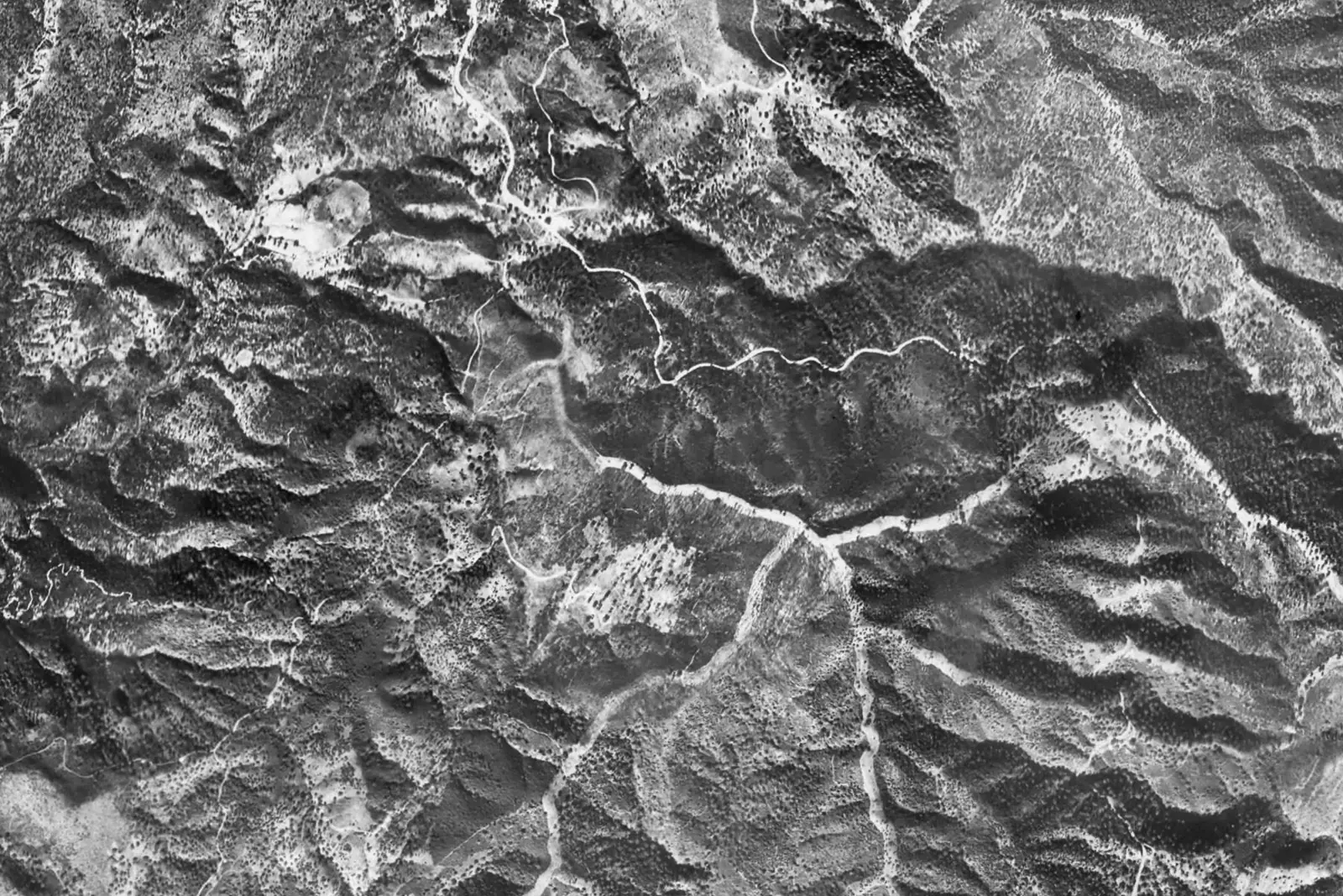 La Zagaleta from the air in 1956