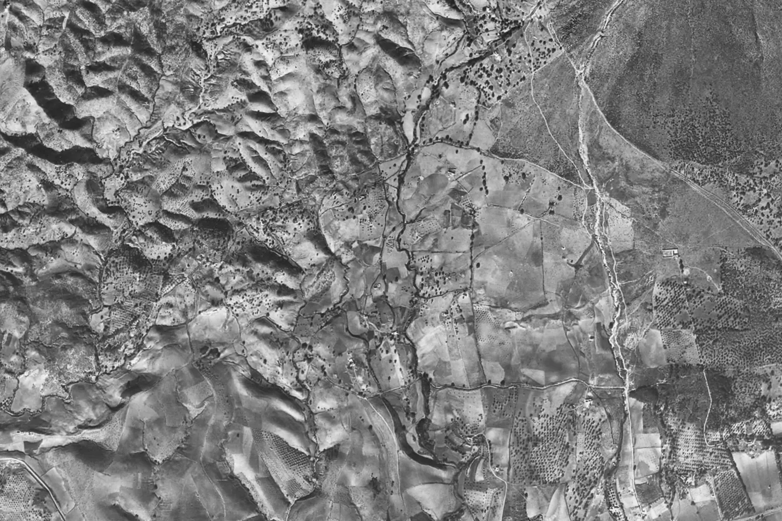 Nagüeles desde el aire en 1956