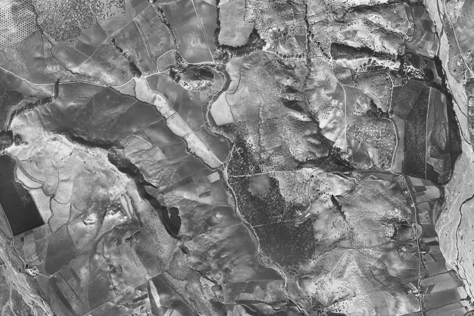 Nueva Andalucía from the air in 1956