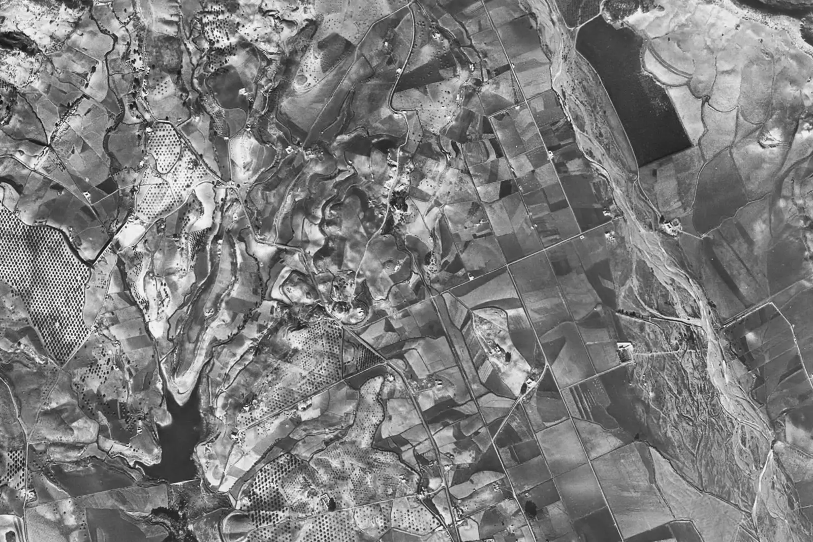 San Pedro de Alcántara from the air in 1956