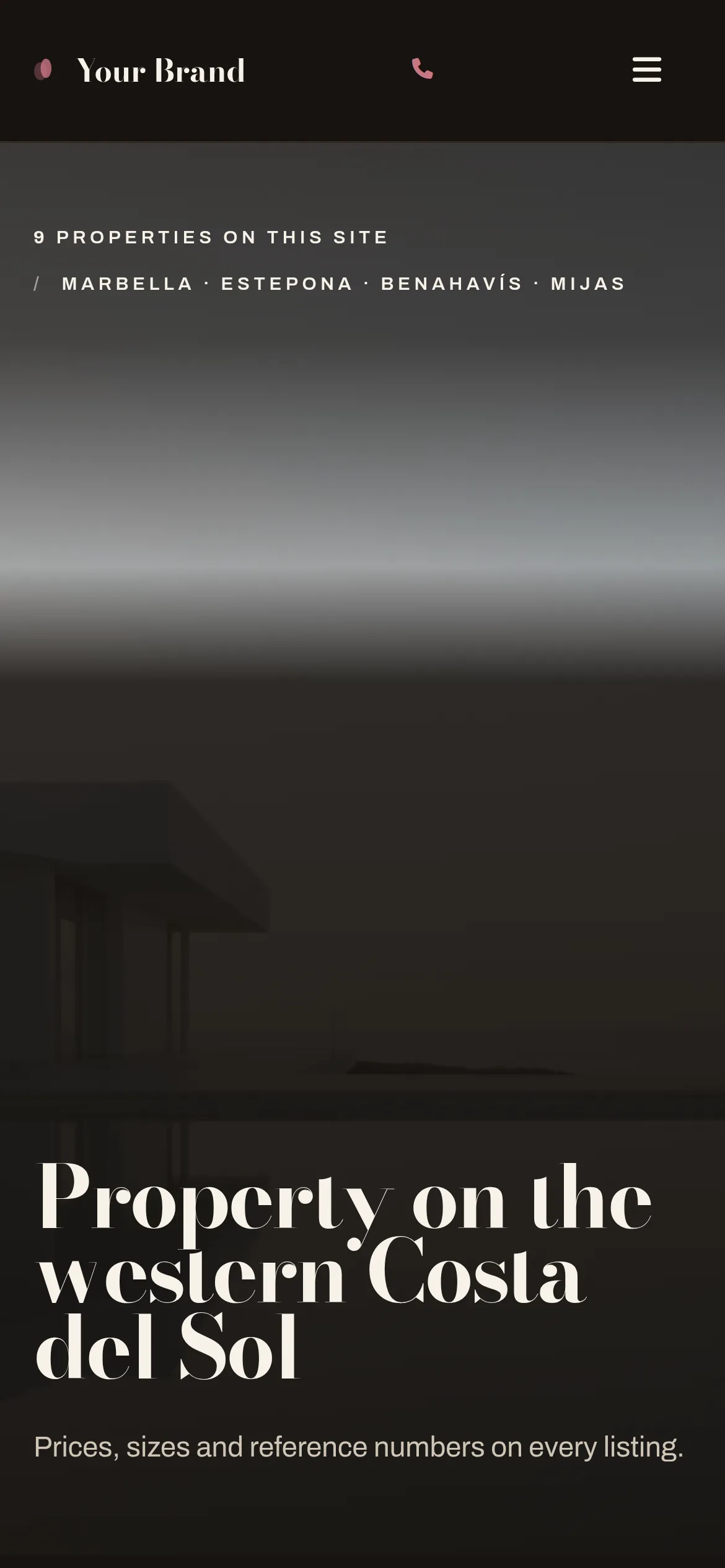 Noir template on a phone