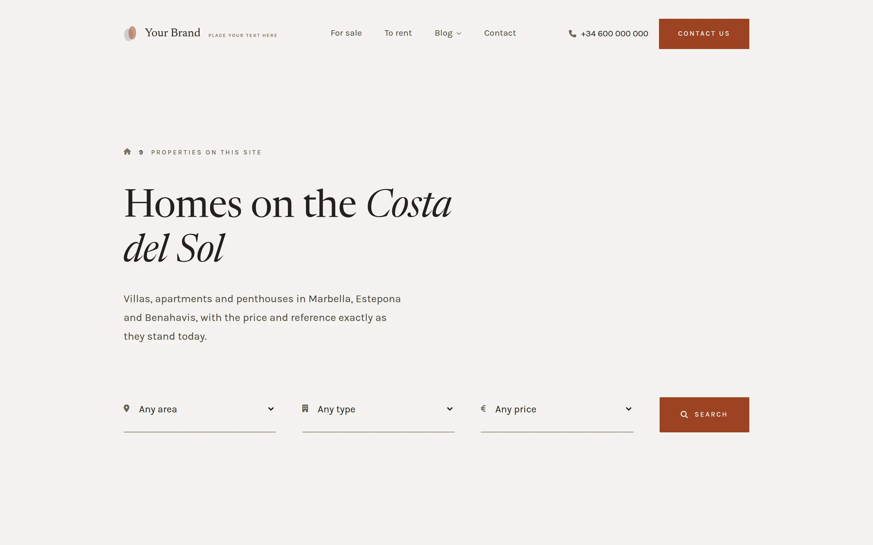 Meridian template, home page on a desktop screen