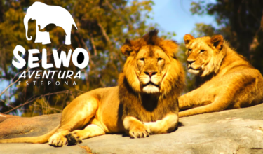 Selwo Aventura Estepona PropertyList